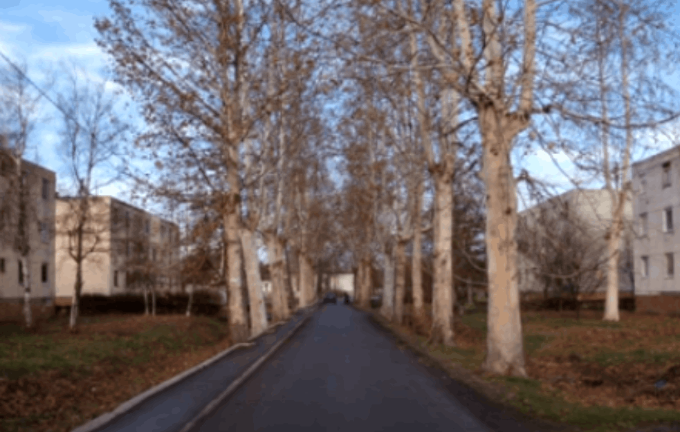 HOROR PRIČA IZ <span style='color:red;'><b>GLOGONJ</b></span>SKOG RITA SVE JEZIVIJA: Ocu pojeo oba uha i deo stomaka, a evo gde je policija pronašla Dušana!
